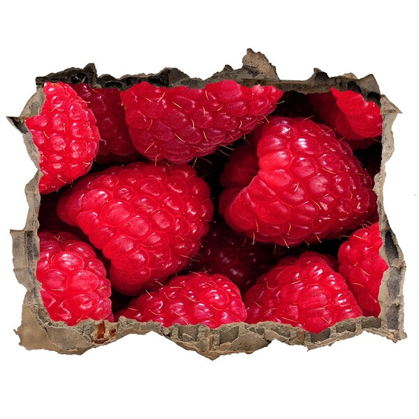 3d-s lyukat fali matrica Málna betonban