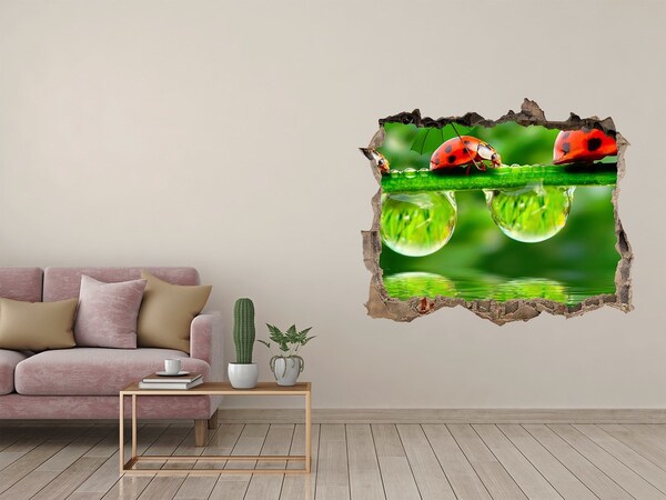 3d-s lyukat fali matrica Egy csepp természet egy katicabogárral
