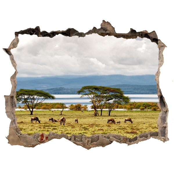 3d-s lyukat fali matrica Lake naivasha