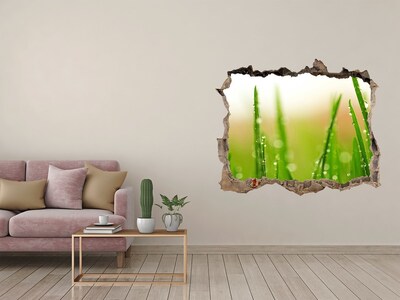 3d-s lyukat fali matrica Zöld rét vízcseppekkel