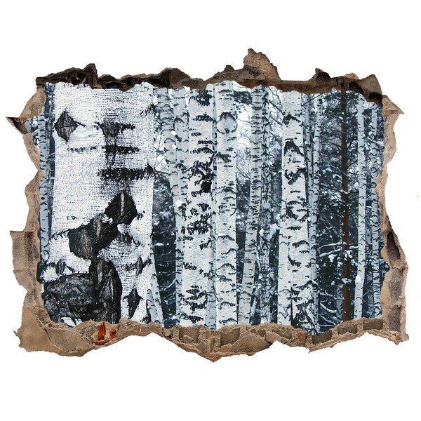 3d-s lyukat fali matrica Téli nyírfaerdő