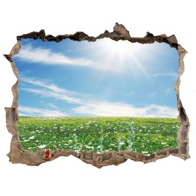 3d-s lyukat fali matrica Virágos rét kék ég alatt