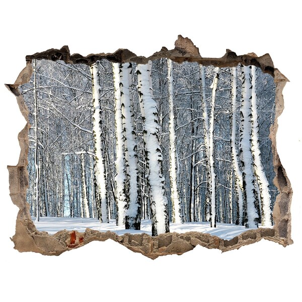 3d-s lyukat fali matrica Téli erdő fehérben