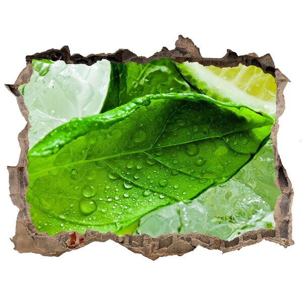 3d-s lyukat fali matrica Lime jég
