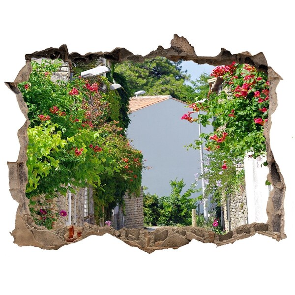 3d-s lyukat fali matrica Egy bájos utca virágokkal