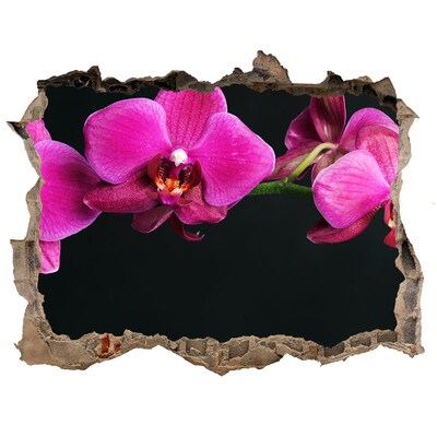 3d-s lyukat fali matrica Orchidea