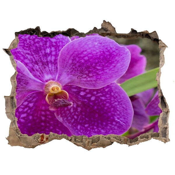 3d-s lyukat fali matrica Orchidea