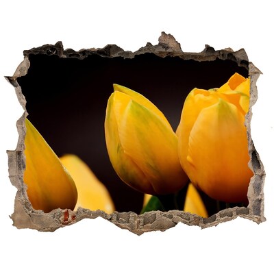 3d-s lyukat fali matrica Sárga tulipánok