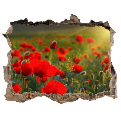 3d-s lyukat fali matrica Egy virágos paradicsom, amiben mindenütt ott van a lyuk