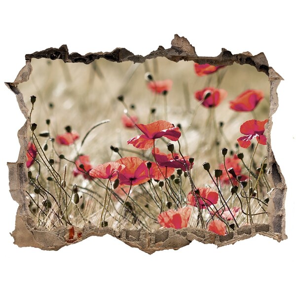 3d-s lyukat fali matrica Virágparadicsom a beton között