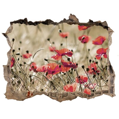 3d-s lyukat fali matrica Virágparadicsom a beton között