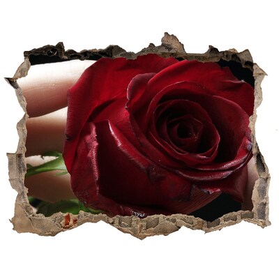3d-s lyukat fali matrica Egy rózsa egy romos falban