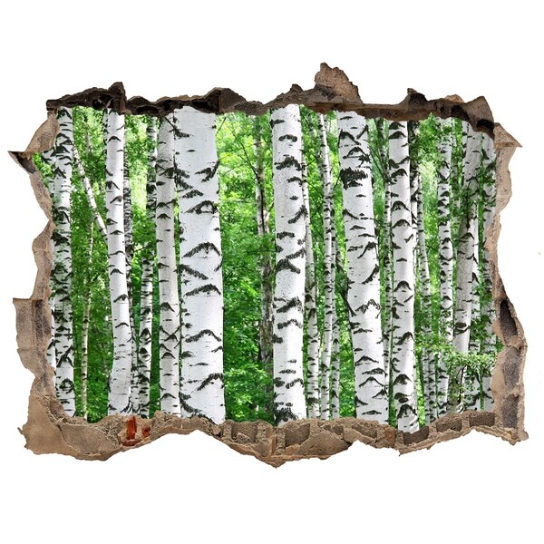 3d-s lyukat fali matrica Egy rejtett erdei oázis