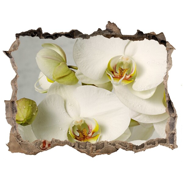 3d-s lyukat fali matrica Fehér orchidea