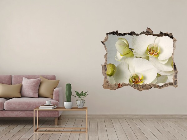 3d-s lyukat fali matrica Fehér orchidea