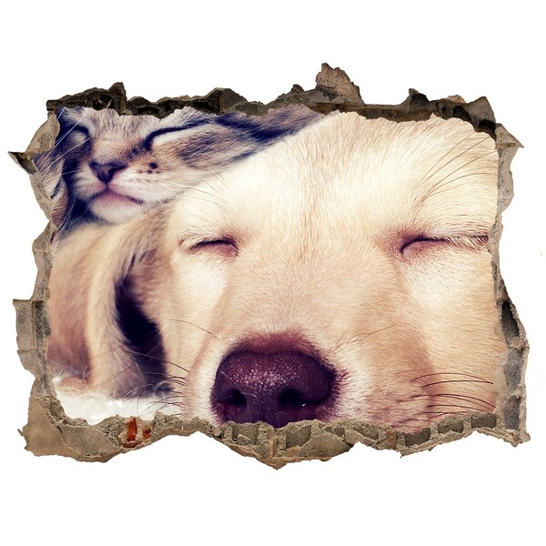 3d-s lyukat fali matrica Aranyos kutya egy lyukban a falban