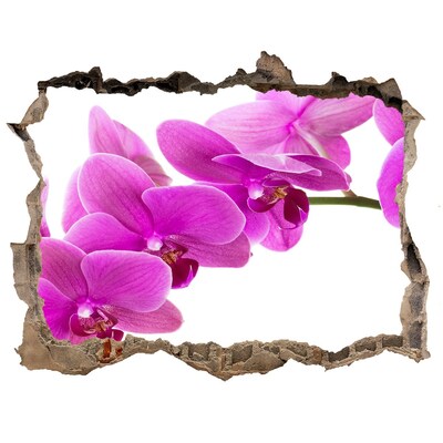 3d-s lyukat fali matrica Orchideák egy lyukon keresztül a falon