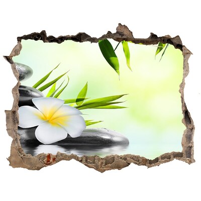 3d-s lyukat fali matrica A béke oázisa a természetben