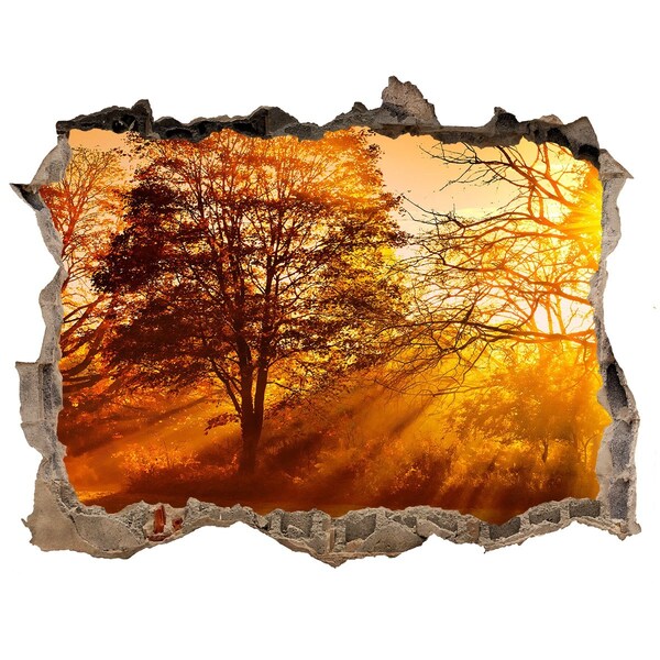 3d-s lyukat fali matrica Aranyló napsugarak az erdőben