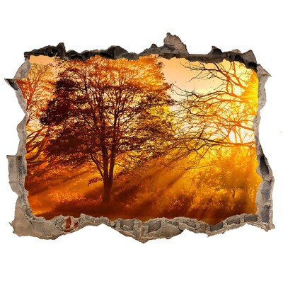 3d-s lyukat fali matrica Aranyló napsugarak az erdőben