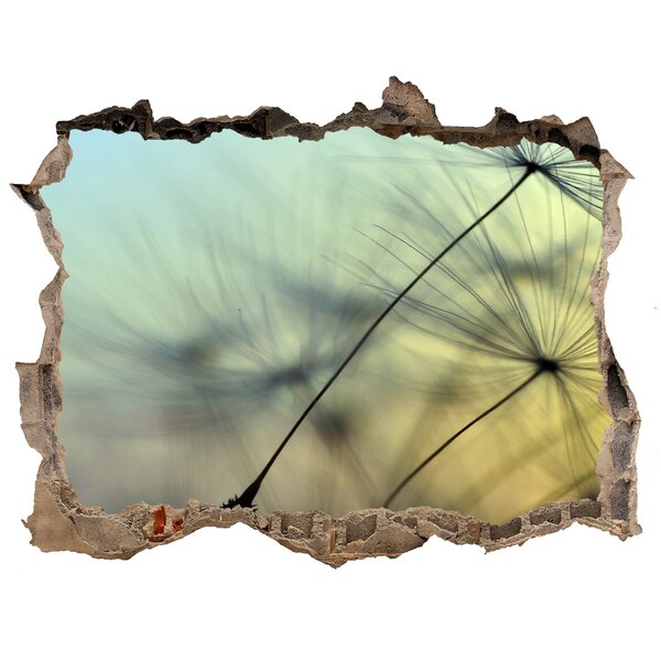 3d-s lyukat fali matrica Pitypang álom