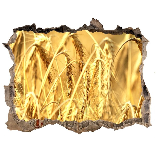 3d-s lyukat fali matrica Aranyló szemek a napsütésben