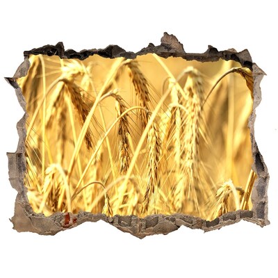 3d-s lyukat fali matrica Aranyló szemek a napsütésben