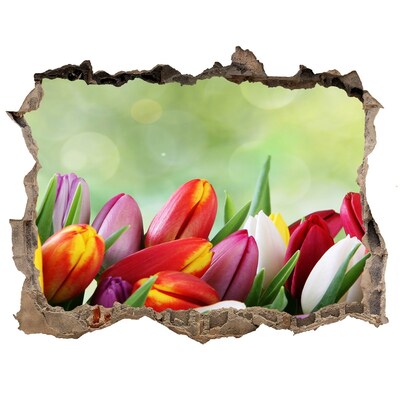 3d-s lyukat fali matrica Színes tulipán