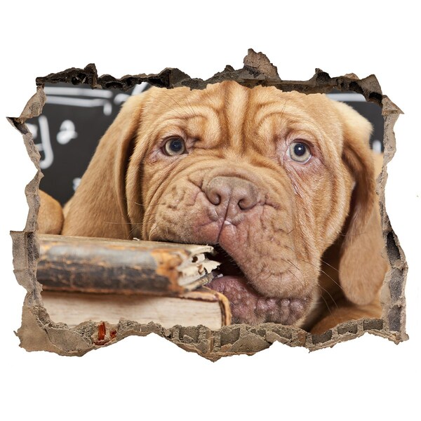 3d-s lyukat fali matrica Egy édes kiskutya a könyvek között