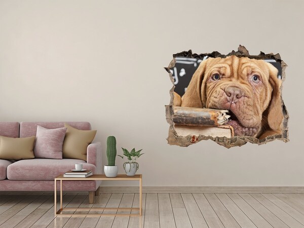 3d-s lyukat fali matrica Egy édes kiskutya a könyvek között