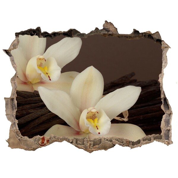 3d-s lyukat fali matrica Orchidea virágok egy sérült falban