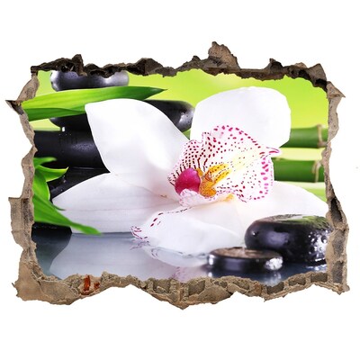 3d-s lyukat fali matrica A béke virágos oázisa