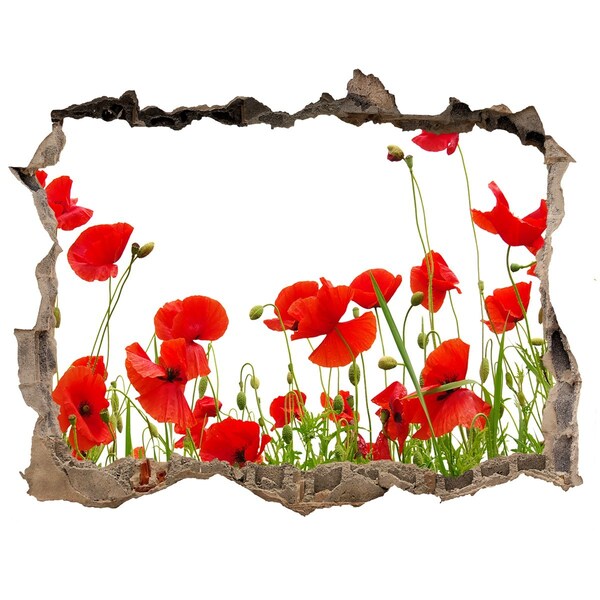 3d-s lyuk vizuális effektusok matrica Virágparadicsom betonban