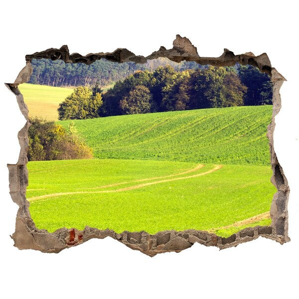 3d-s lyuk vizuális effektusok matrica Zöld rét a fal mögött