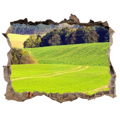 3d-s lyuk vizuális effektusok matrica Zöld rét a fal mögött