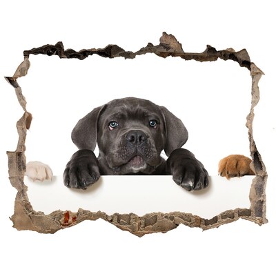 3d-s lyuk vizuális effektusok matrica Édes kiskutya a fal mögül