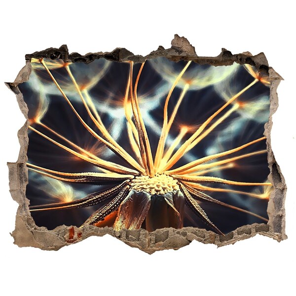 3d-s lyuk vizuális effektusok matrica Virág a tűzből