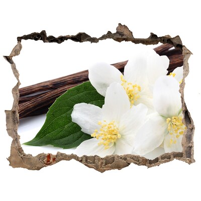 3d-s lyuk vizuális effektusok matrica Jázmin virágok betonban