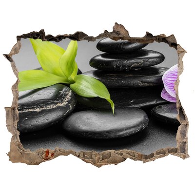 3d-s lyuk vizuális effektusok matrica Pihentető kilátás kövekkel és növényekkel