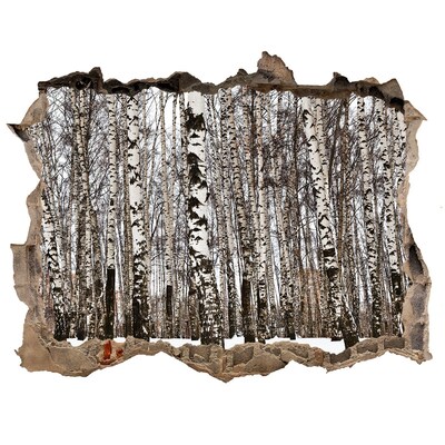 3d-s lyuk vizuális effektusok matrica Téli nyírfaerdő