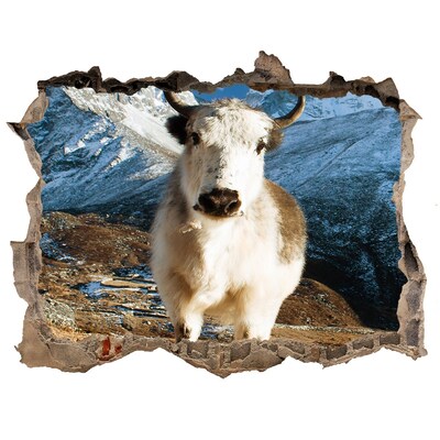 3d-s lyuk vizuális effektusok matrica Hegyi bivaly egy lyukban a falban