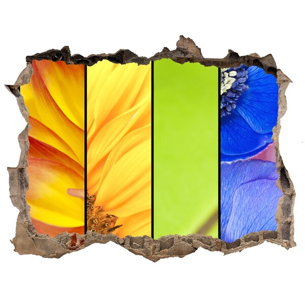 3d-s lyuk vizuális effektusok matrica A virágvilág a fal mögött