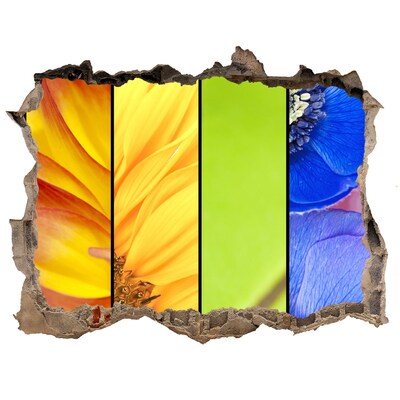 3d-s lyuk vizuális effektusok matrica A virágvilág a fal mögött