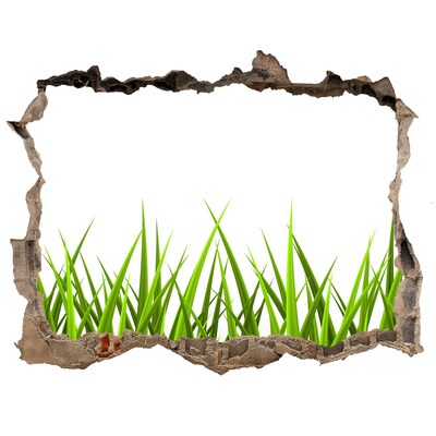 3d-s lyuk vizuális effektusok matrica Fű