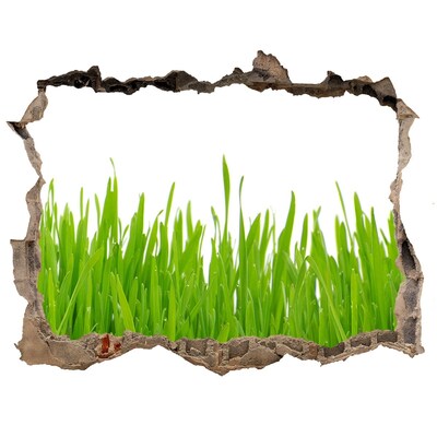 3d-s lyuk vizuális effektusok matrica Fű
