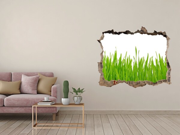 3d-s lyuk vizuális effektusok matrica Fű