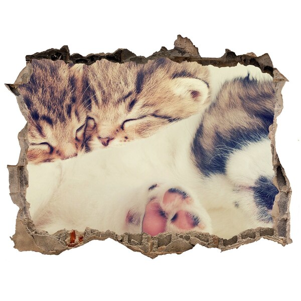 3d-s lyuk vizuális effektusok matrica Aranyos kiscicák egy lyukban a falban