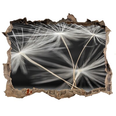 3d-s lyuk vizuális effektusok matrica Pitypang virágok betonban