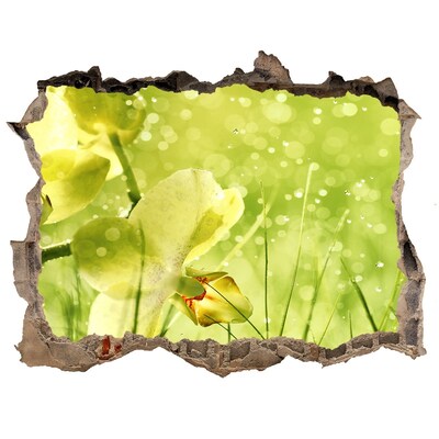 3d-s lyuk vizuális effektusok matrica Orchidea