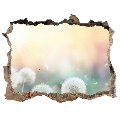 3d-s lyuk vizuális effektusok matrica A virágvilág a lyuk mögött